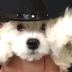 Meet your Posher, Fatima